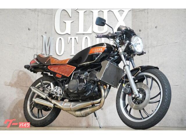 ＲＺ２５０　チャンバー　ＢＥＥＴアルフィンカバー　マックレーンバックステップ　純正キャブ　ＢＥＥＴセパレートハンドル　クリアヘッド