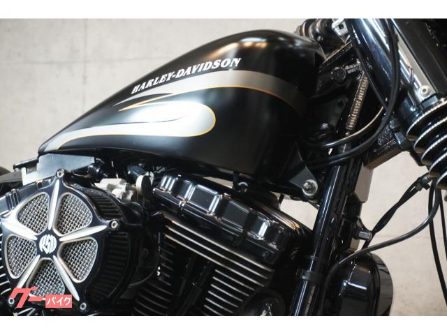 HARLEY－DAVIDSON FLS ソフテイルスリム カスタム
