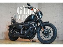 ＨＡＲＬＥＹ−ＤＡＶＩＤＳＯＮ　ＸＬ８８３Ｎ　アイアン　バンスマフラー　デタッチャブル　ロングシーシーバー　サドルバックサポート　ＥＴＣ