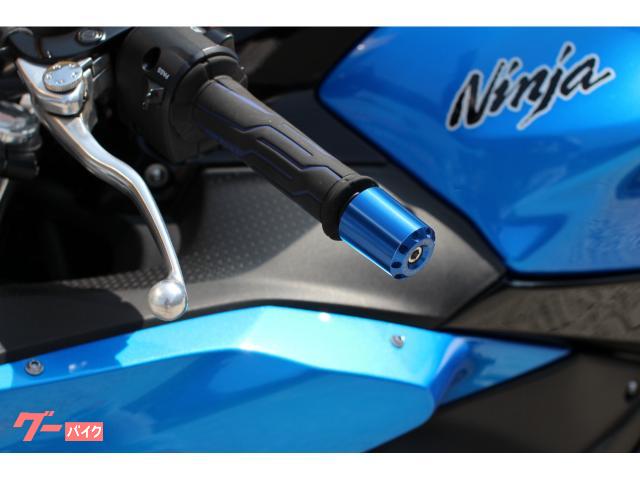 カワサキ Ninja 650 エンジンスライダー装備・ETC
