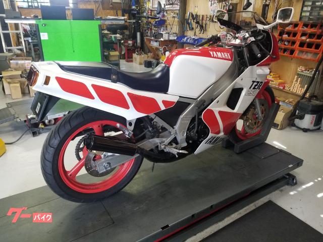 TZR250 1kt シングルシート カウル 希少 走り屋 - カウル、フェンダー 