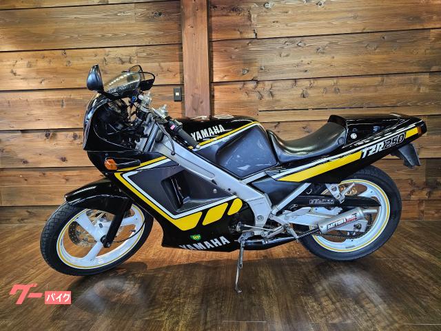 ヤマハ TZR250 1KT デイトナチャンバー シングルシート