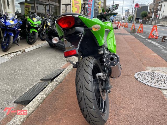 カワサキ Ｎｉｎｊａ ２５０Ｒ ＥＸ２５０Ｋ 水冷４サイクル２気筒エンジン フューエルインジェクション車 ライムグリーン ｜アットバイク｜新車・中古バイクなら【グーバイク】