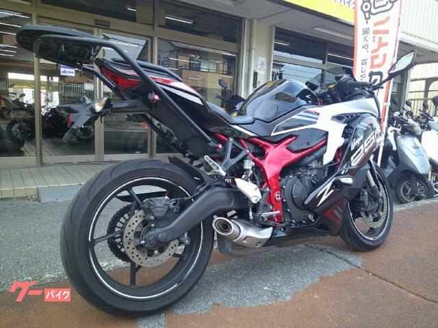 胴 KAWASAKI NINJA ZX-4RR 2023 - 2025 COWLING,SIDE COWL.,LH,LWR