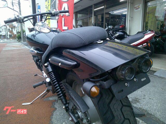 カワサキ エリミネーター250V 水冷4サイクルVツインエンジン