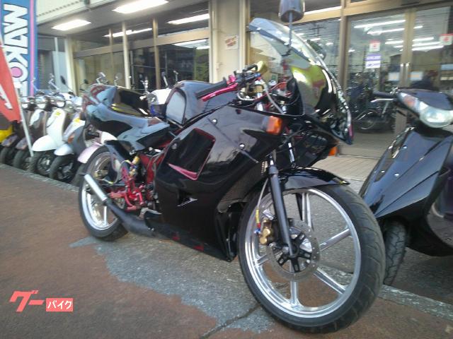 ＮＳ−１　２サイクルエンジン　クラッチ付き６速ギヤ　７．２馬力　耐久カウル仕様　ブラック