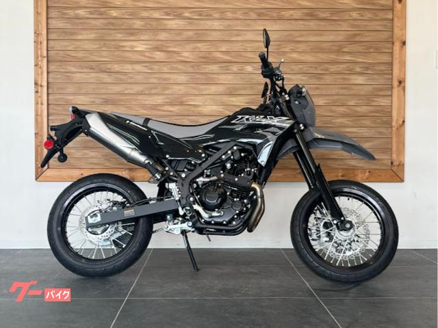 マスターズ・トーナメント公式フラッグ（年号なし）新品 カワサキ KLX230SM 2026年モデル バトルグレー・エボニー