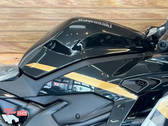 カワサキ Ninja ZX－4R SE 2026年モデル クイック