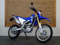 ヤマハ　ＷＲ２５０Ｒ　ハンドルバーパッド