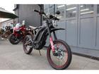 その他 ＥＶ　　ＳＵＲ－ＲＯＮ　　ＬｉｇｈｔＢｅｅ　Ｌ１ｅ　ＳＭの画像（東京都