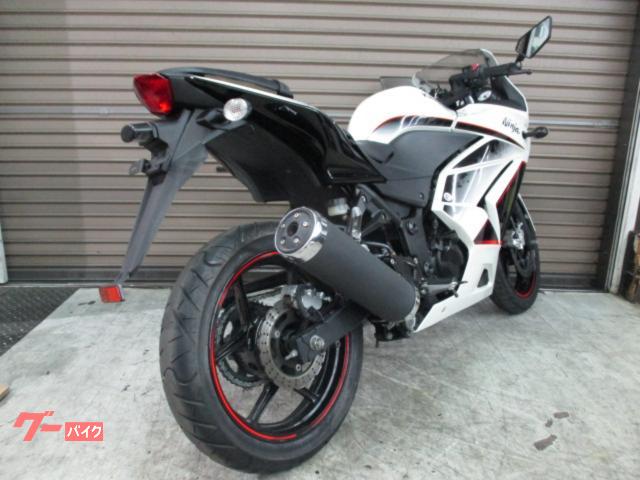 カワサキ Ｎｉｎｊａ　２５０Ｒ　スペシャルエディション　ＥＸ２５０Ｋ型　白色　メットホルダー付きの画像（神奈川県