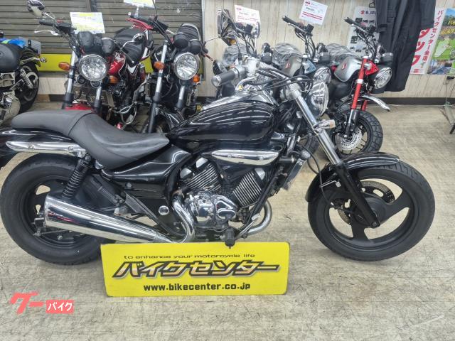 エリミネーター２５０Ｖ　２００７年最終モデル　タンクオールペン
