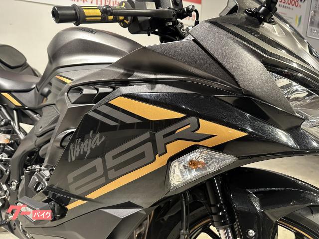 カワサキ Ninja ZX－25R SE 2022年モデル