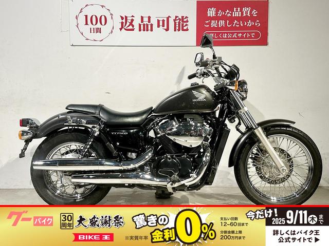 ＶＴ７５０Ｓ　２０１１年モデル　サドルバックサポート