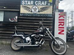 ＨＡＲＬＥＹ−ＤＡＶＩＤＳＯＮ　ＦＸＳＴＣ　ソフテイルカスタム