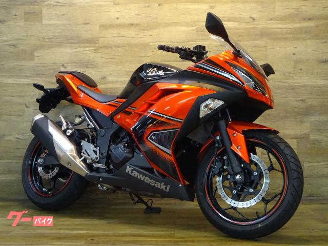 Ｎｉｎｊａ　２５０　ＥＴＣ