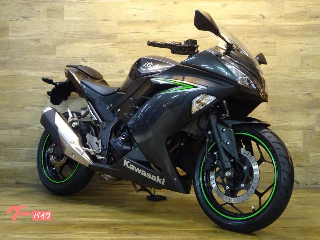Ｎｉｎｊａ　２５０　ノーマル車