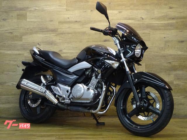 ＧＳＲ２５０　丸目カスタム