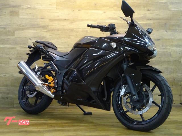 Ｎｉｎｊａ　２５０Ｒ　バックステップ