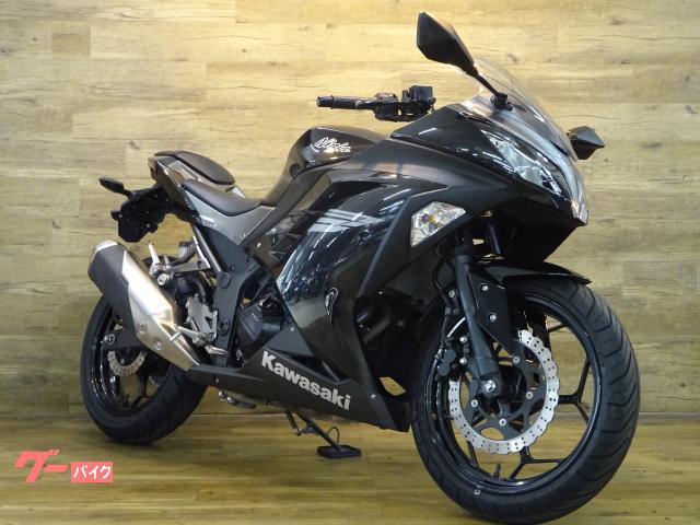 Ｎｉｎｊａ　２５０　ノーマル車