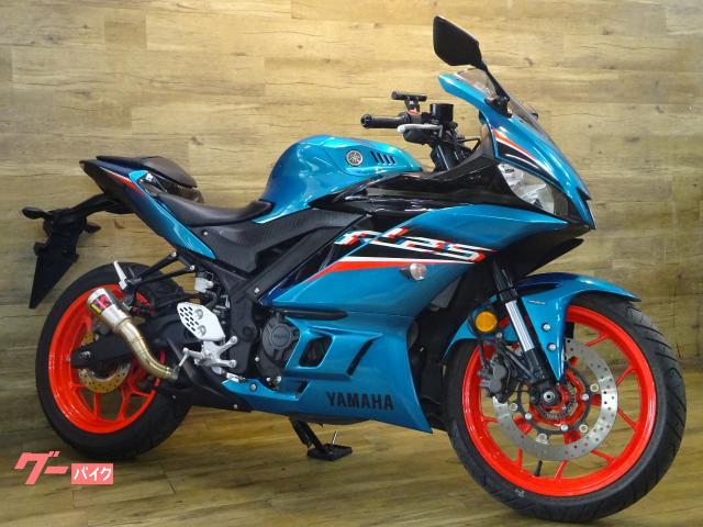 ＹＺＦ−Ｒ２５　ＡＢＳ　アクラポビッチサイレンサー