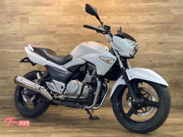 GSR250 フェンダーレス