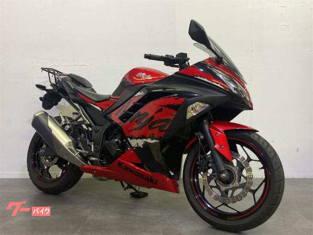 Ninja 250 ABS ETC リヤキャリア