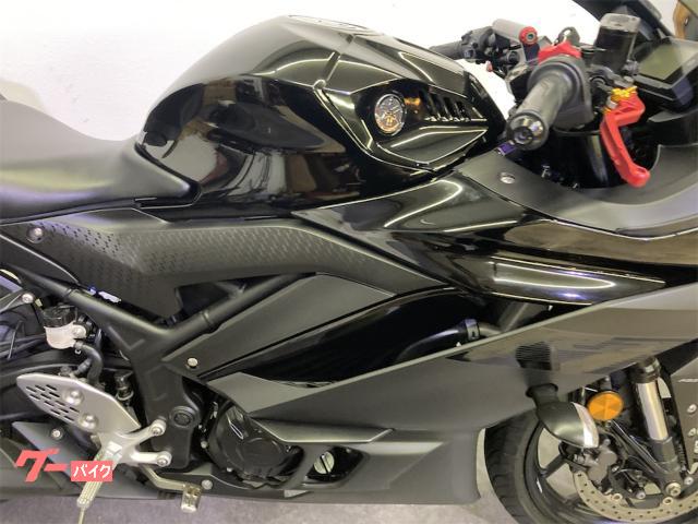 ヤマハ YZF－R25 ABS RG43J｜シークレットモーター