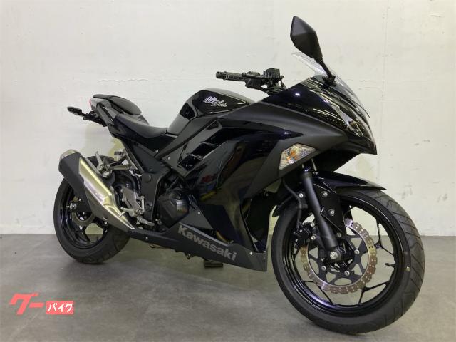 Ninja 250 フェンダーレス