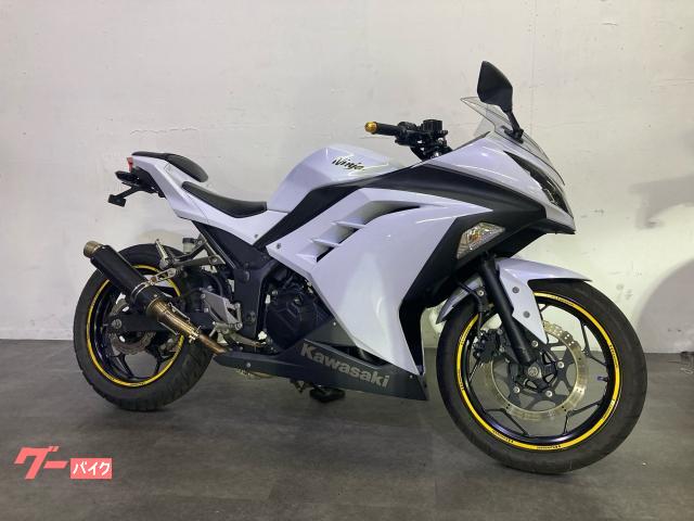 Ninja 250 社外マフラー フェンダーレス