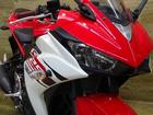 ヤマハ ＹＺＦ－Ｒ２５　社外セパレートハンドル　エンジンガードの画像（東京都