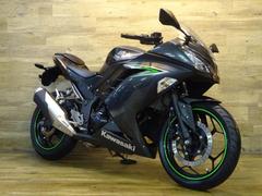カワサキ　Ｎｉｎｊａ　２５０　ノーマル車