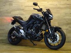 ヤマハ　ＭＴ−０３（３２０ｃｃ）　ＡＢＳ　車検Ｒ８／４　ＰＲＵＮＵＳマフラー