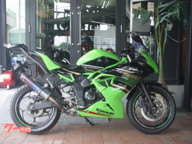 Ｎｉｎｊａ　２５０ＳＬ