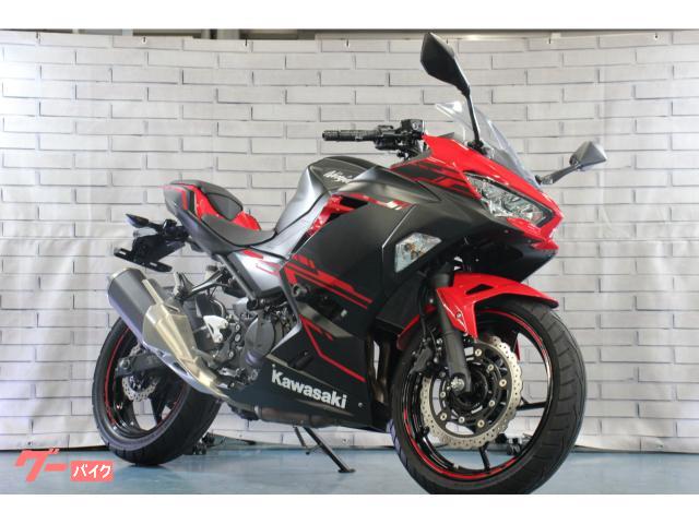 Ｎｉｎｊａ　２５０