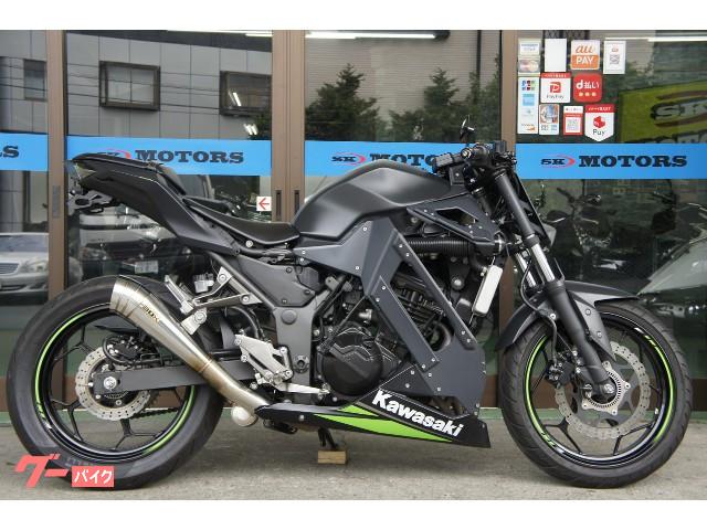 カワサキ ｎｉｎｊａ ２５０ ストリートファイターコンプリート ｅｔｃ付 ｓｋ ｍｏｔｏｒｓ 新車 中古バイクなら グーバイク