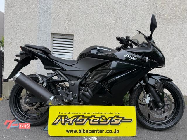 Ｎｉｎｊａ　２５０Ｒ