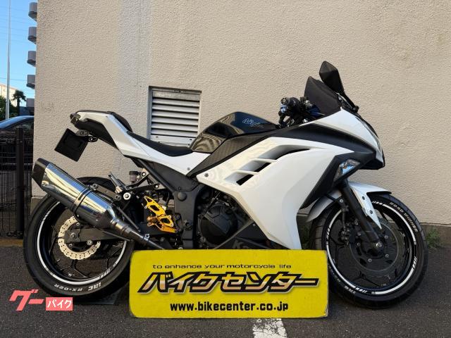 Ｎｉｎｊａ　２５０　２０１４年モデル　インジェクション　ＴＲＩＣＫＳＴＡＲマフラー　ＳＮＩＰＥＲバックステップ　電圧計