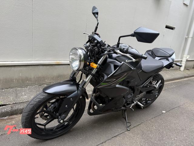 カワサキ Z250 2013年モデル インジェクション 丸目ヘッド