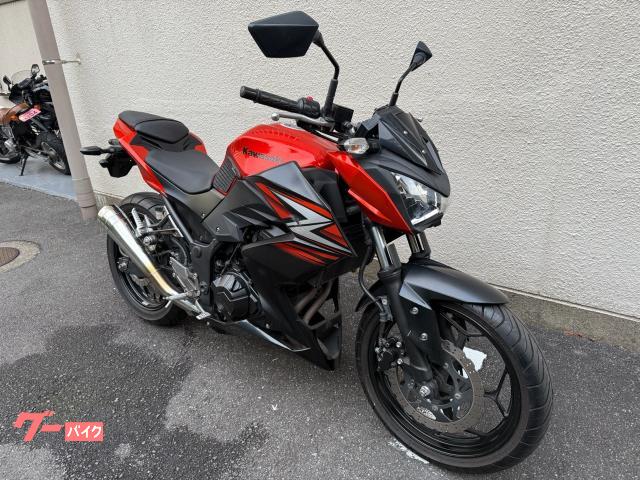 カワサキ Z250 2014年モデル インジェクション GP管 6速