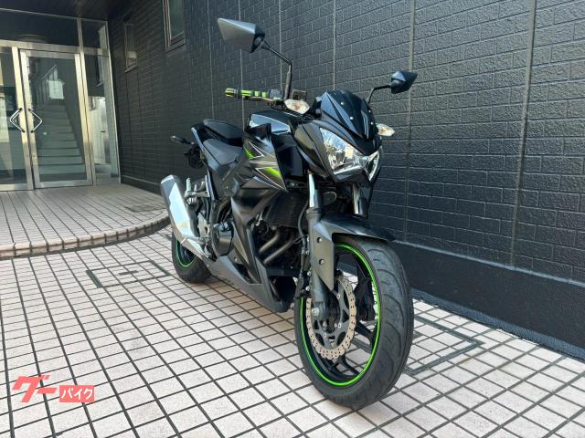 カワサキ Z250 2013年モデル インジェクション｜バイク
