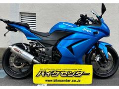 カワサキ　Ｎｉｎｊａ　２５０Ｒ　社外マフラー　リアキャリア付き　フェンダーレス