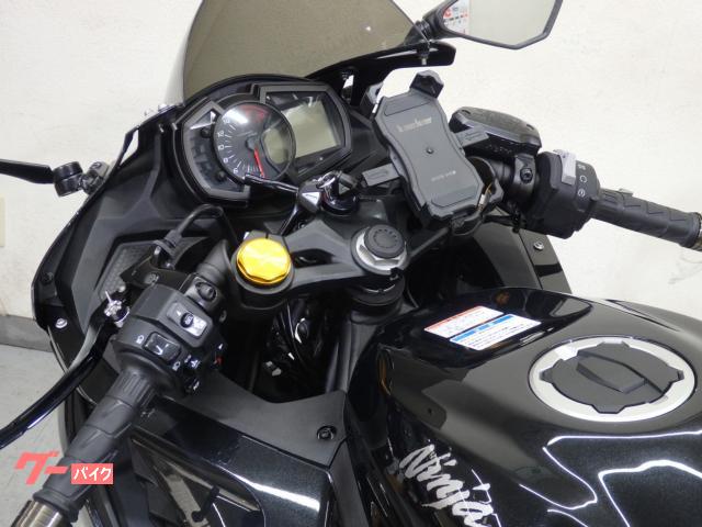 カワサキ Ninja ZX－25R バックステップ