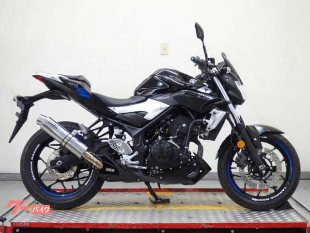 ＭＴ−２５　ＲＧ１０Ｊ　ＷＲＳマフラー　６８６４６