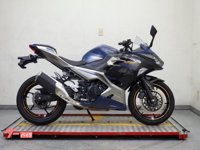 Ｎｉｎｊａ　２５０　ＥＸ２５０Ｙ　６９７１３