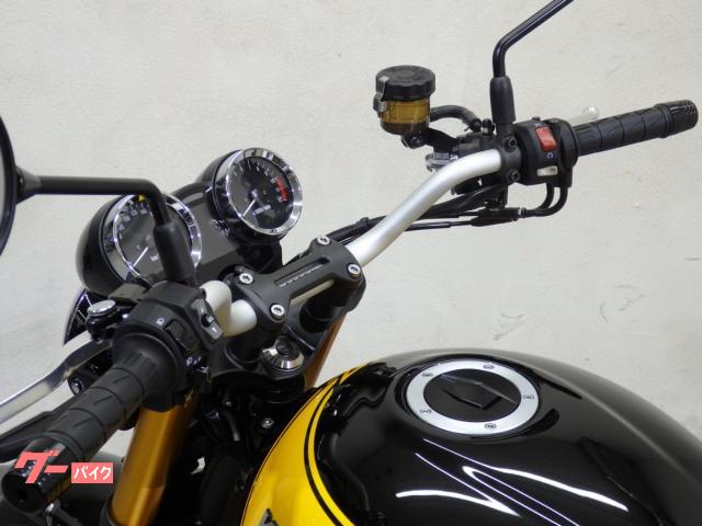 カワサキ Z900RS SE トリックスターイカズチ サブフレーム
