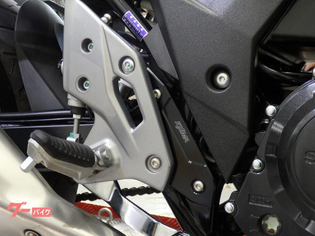 車両情報:スズキ GSX250R | リバースオート甲府 | 中古バイク・新車