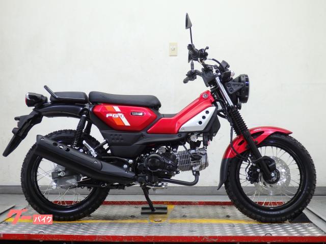 ＰＧ−１　ＡＢＳ付きモデル　２０２６年モデル　並行輸入新車　ベトナム仕様　８０２４９