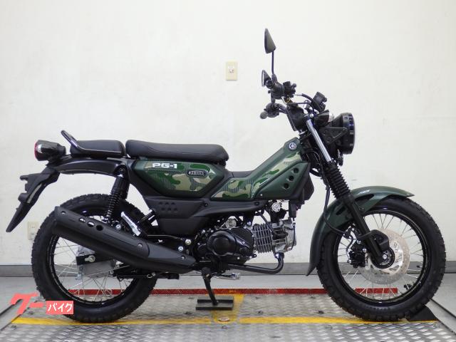 ＰＧ−１　ＡＢＳ付きモデル　２０２６年モデル　並行輸入新車　ベトナム仕様　８０２５１