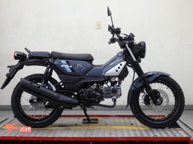 ＰＧ−１　ＡＢＳ付き　２０２６年モデル　並行輸入新車　ベトナム仕様　８０２５３